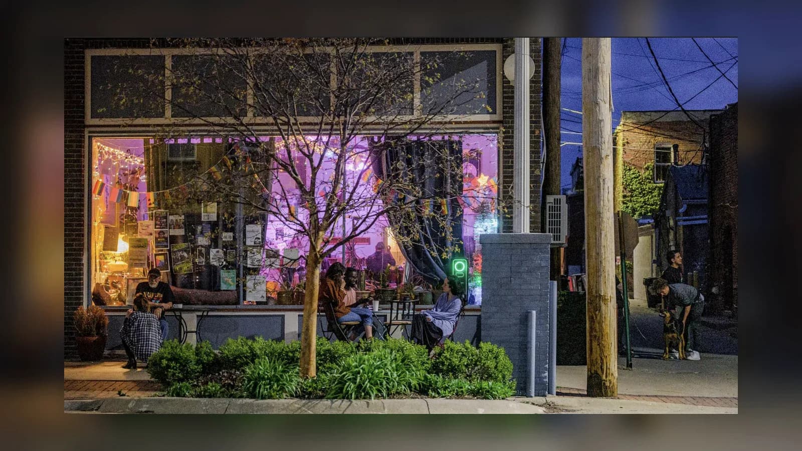 Noble House Kava kava bar