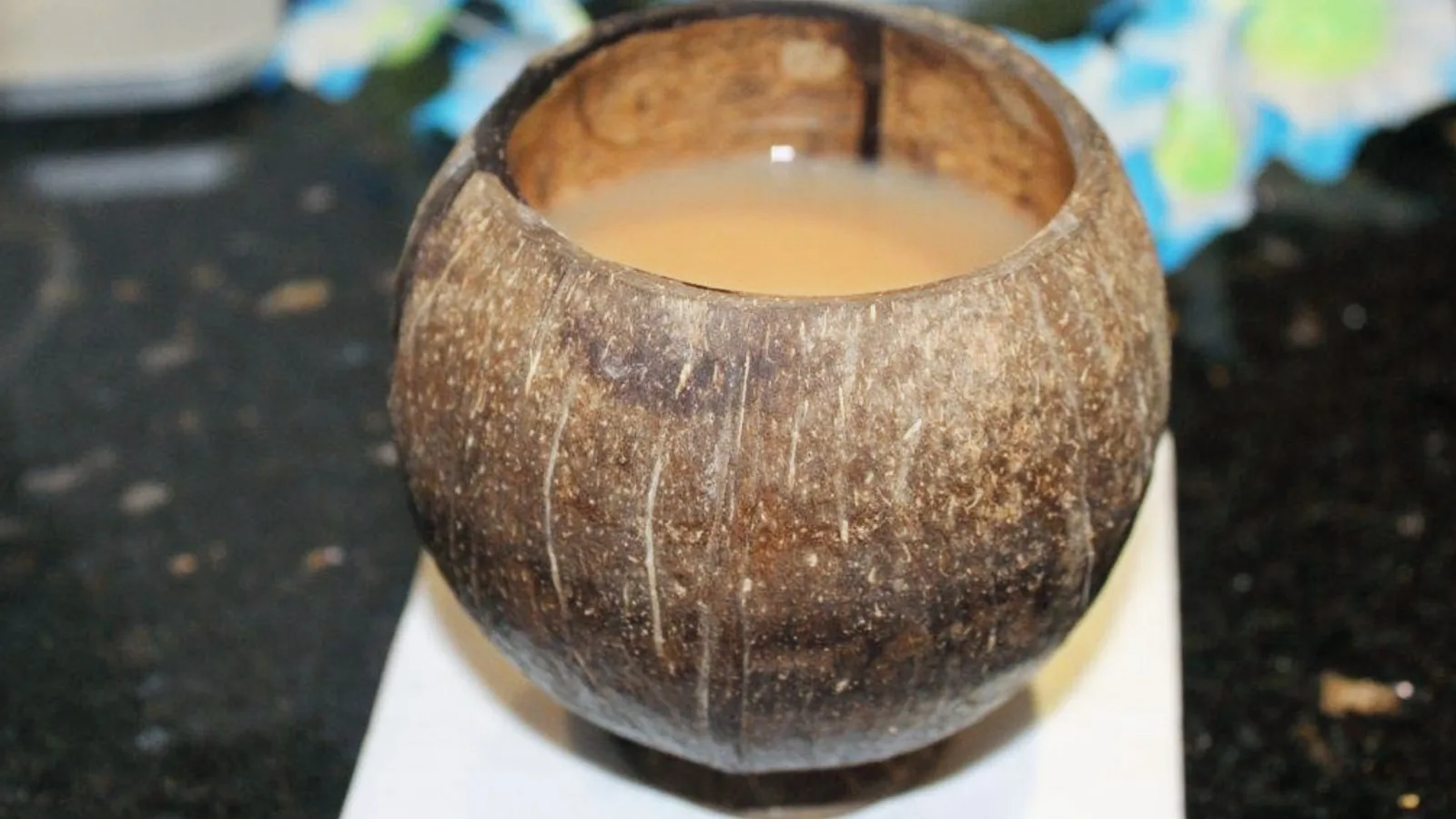 Kava Kula Palm Coast kava bar
